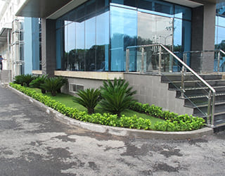 Green Landscaping image1